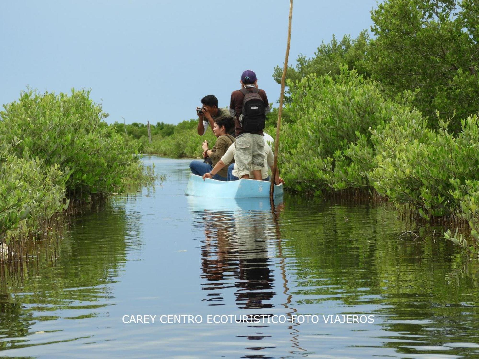 Carey Cabañas Venecia Exterior foto